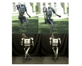 Tailoring Solution Accuracy for Fast Whole-body Model Predictive Control of Legged Robots thumbnail